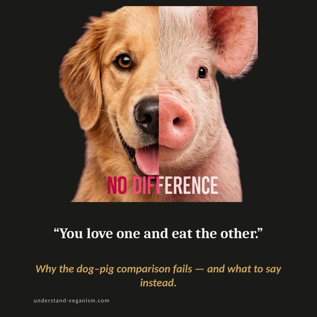 Why dog-pig comparisons fail